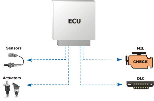 OBD System Components